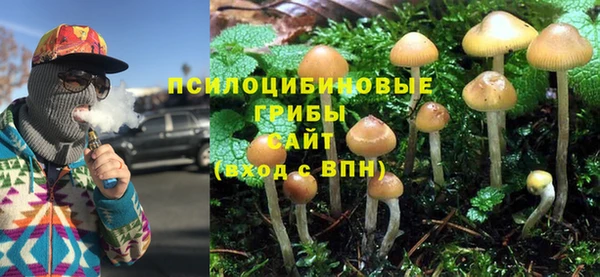 PSILOCYBIN Белоозёрский